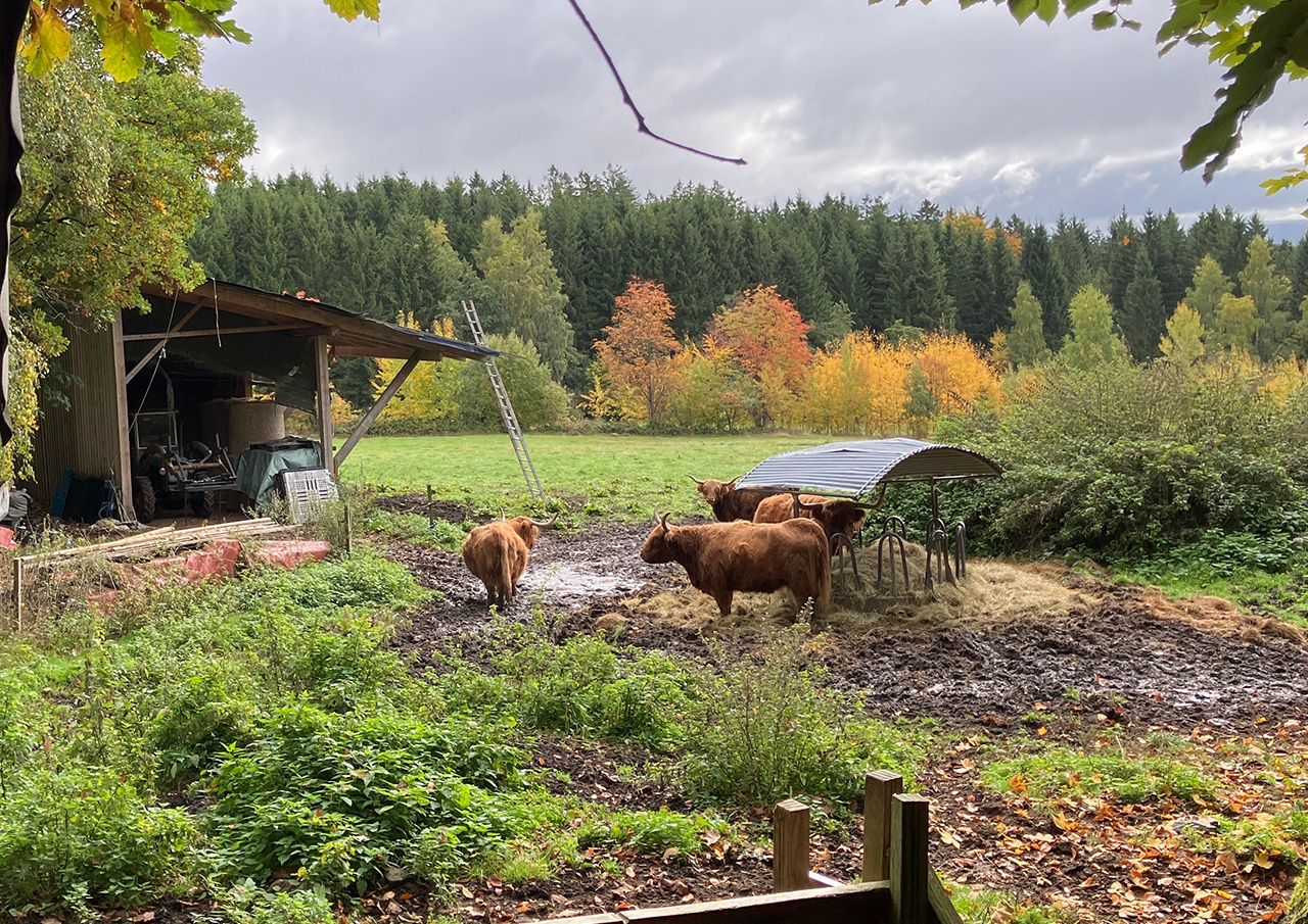 Abschlusswanderung FGV Weidenberg